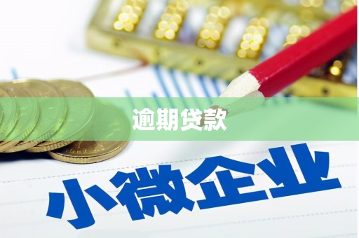 容县逾期贷款