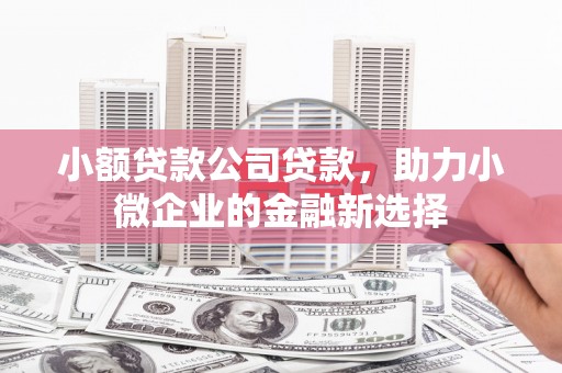 容县小额贷款公司贷款，助力小微企业的金融新选择