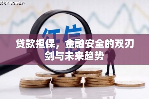 容县贷款担保，金融安全的双刃剑与未来趋势