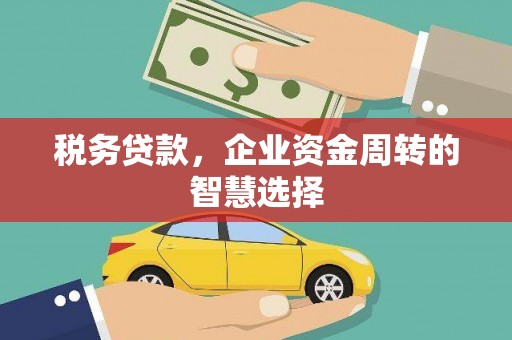 容县税务贷款，企业资金周转的智慧选择