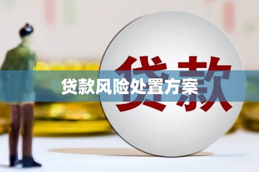 容县贷款风险处置方案