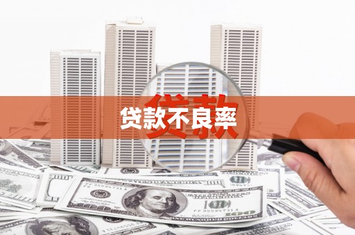 容县贷款不良率