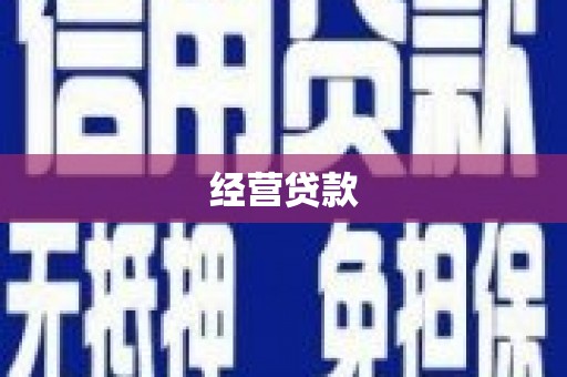 容县经营贷款