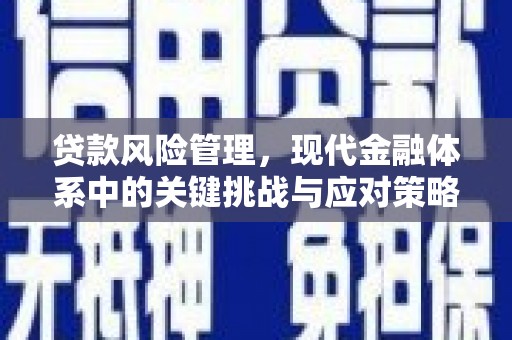容县贷款风险管理，现代金融体系中的关键挑战与应对策略