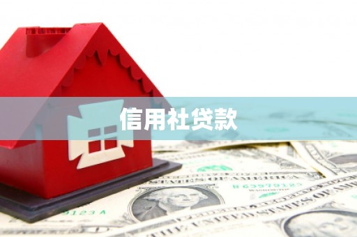 容县信用社贷款