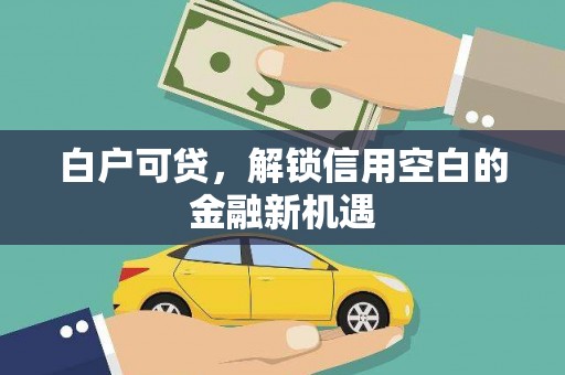 容县白户可贷，解锁信用空白的金融新机遇