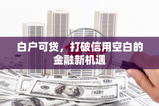 容县白户可贷，打破信用空白的金融新机遇