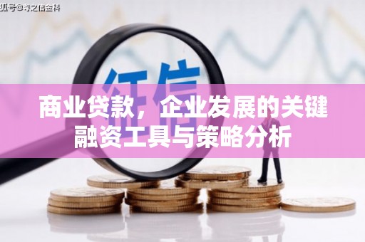 容县商业贷款，企业发展的关键融资工具与策略分析