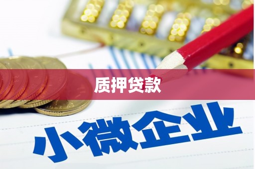 容县质押贷款