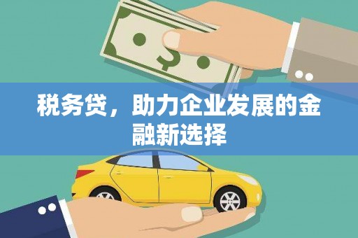 容县税务贷，助力企业发展的金融新选择