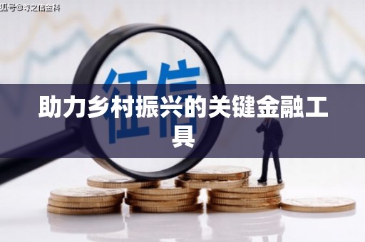 容县助力乡村振兴的关键金融工具