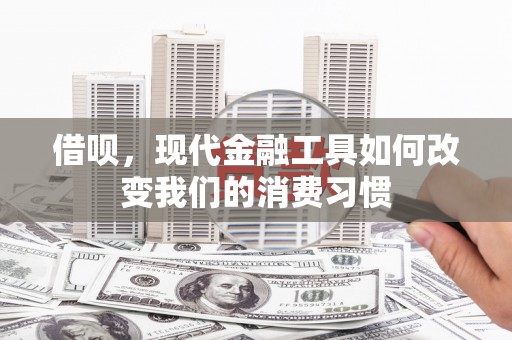容县借呗，现代金融工具如何改变我们的消费习惯