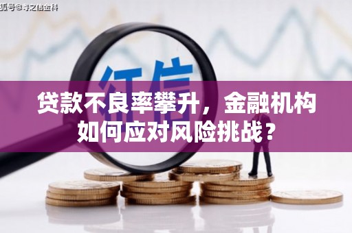 容县贷款不良率攀升，金融机构如何应对风险挑战？
