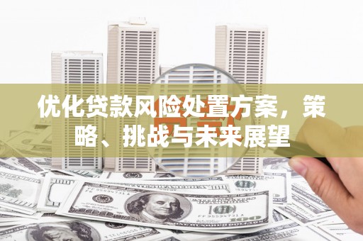 容县优化贷款风险处置方案，策略、挑战与未来展望