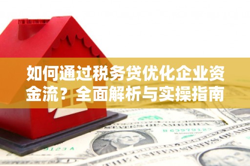 容县如何通过税务贷优化企业资金流？全面解析与实操指南