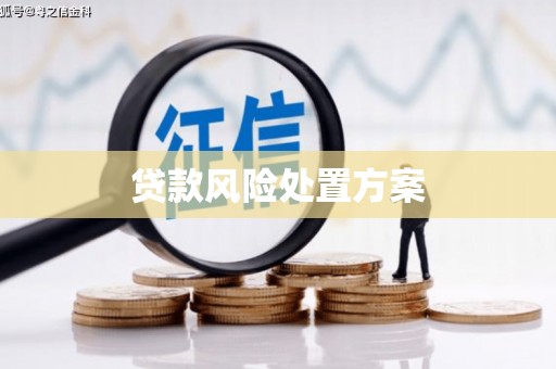 容县贷款风险处置方案