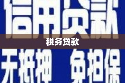 容县税务贷款