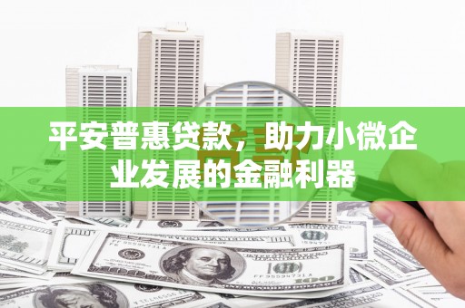 容县平安普惠贷款，助力小微企业发展的金融利器