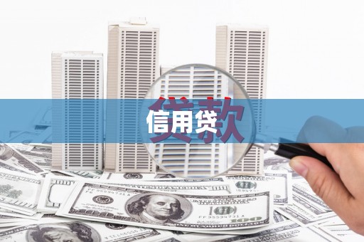 容县信用贷