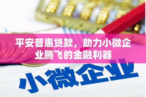 容县平安普惠贷款，助力小微企业腾飞的金融利器