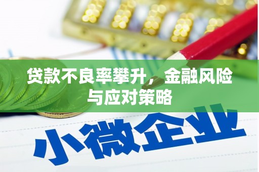 容县贷款不良率攀升，金融风险与应对策略