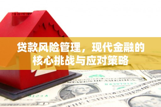 容县贷款风险管理，现代金融的核心挑战与应对策略