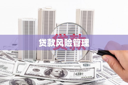 容县贷款风险管理