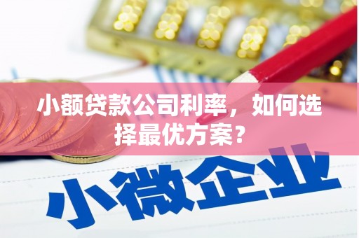 容县小额贷款公司利率，如何选择最优方案？