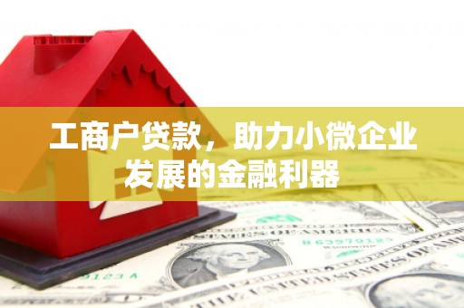 容县工商户贷款，助力小微企业发展的金融利器