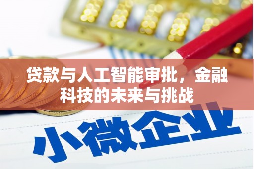 容县贷款与人工智能审批，金融科技的未来与挑战