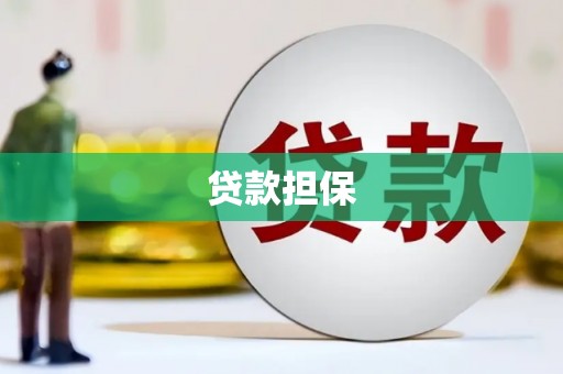 容县贷款担保
