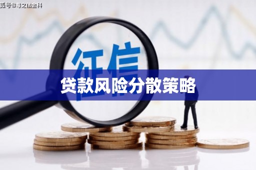 容县贷款风险分散策略