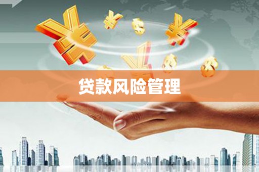 容县贷款风险管理