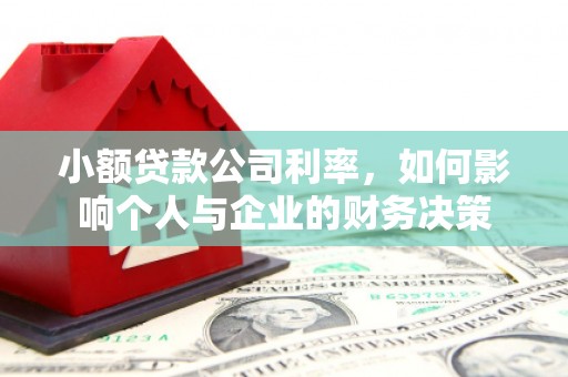 容县小额贷款公司利率，如何影响个人与企业的财务决策