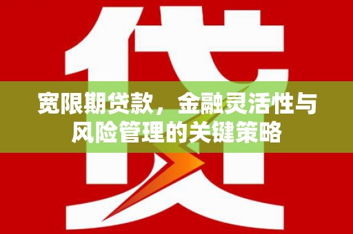 容县宽限期贷款，金融灵活性与风险管理的关键策略