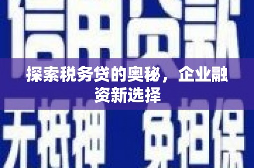 容县探索税务贷的奥秘，企业融资新选择