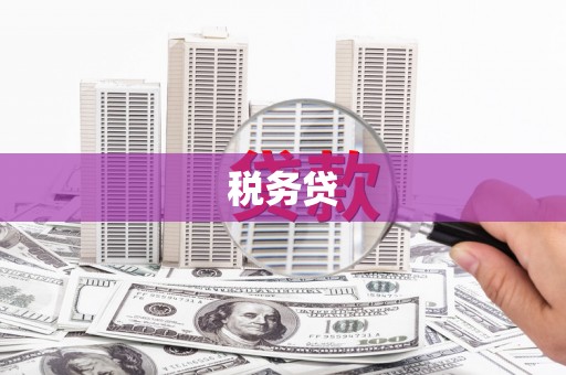 容县税务贷