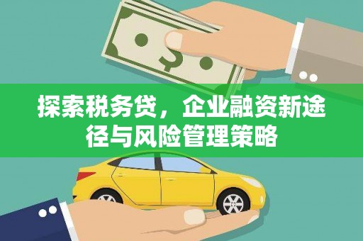 容县探索税务贷，企业融资新途径与风险管理策略