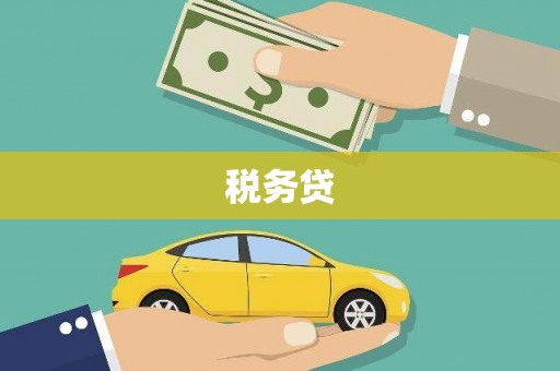 容县税务贷