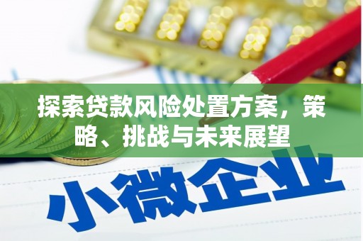 容县探索贷款风险处置方案，策略、挑战与未来展望