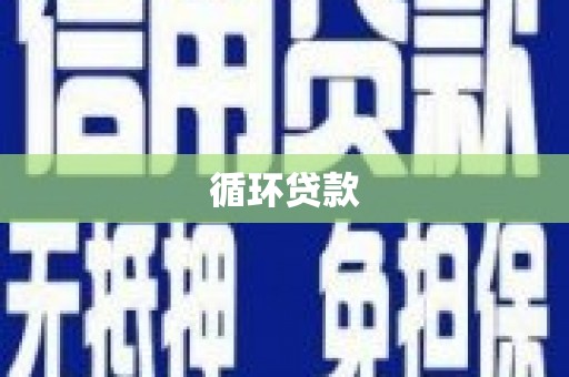 容县循环贷款