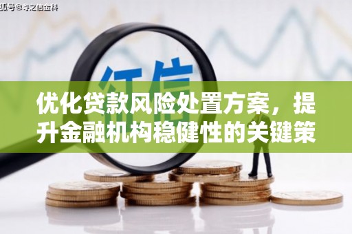 容县优化贷款风险处置方案，提升金融机构稳健性的关键策略