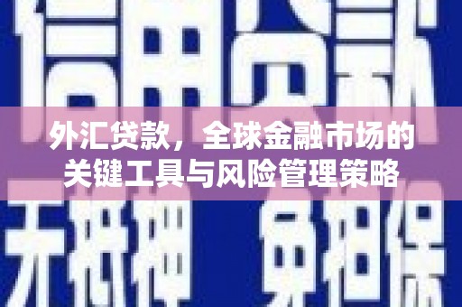 容县外汇贷款，全球金融市场的关键工具与风险管理策略
