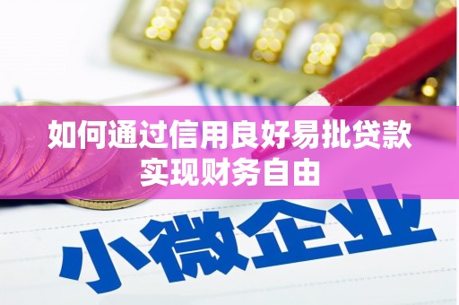容县如何通过信用良好易批贷款实现财务自由