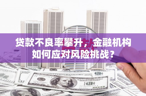 容县贷款不良率攀升，金融机构如何应对风险挑战？