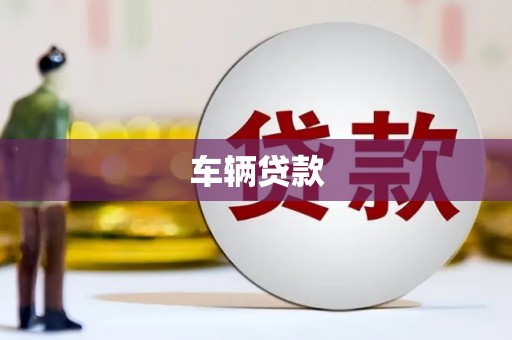 容县车辆贷款