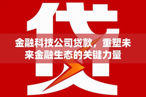 容县金融科技公司贷款，重塑未来金融生态的关键力量