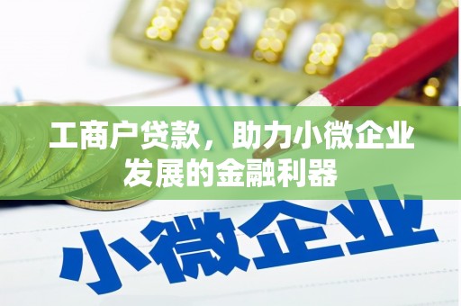 容县工商户贷款，助力小微企业发展的金融利器