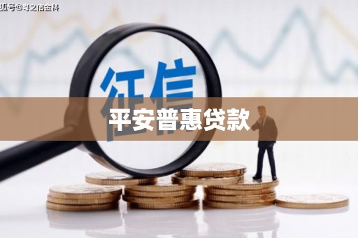 容县平安普惠贷款