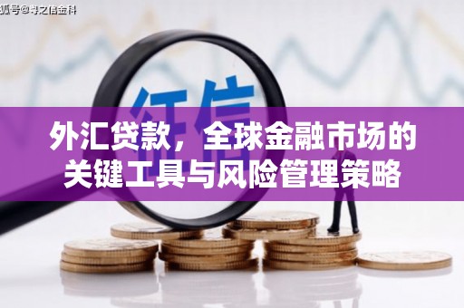 容县外汇贷款，全球金融市场的关键工具与风险管理策略